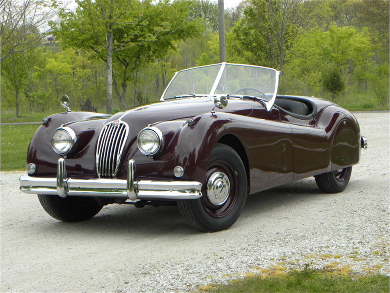 Jaguar xk140 1954