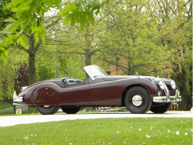 1955 Jaguar XK-140 Sport Roadster (CC-983604) for sale in Volo, Illinois