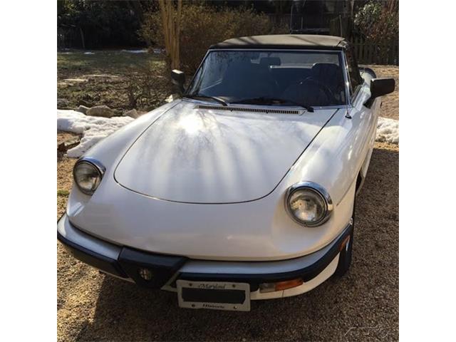 1986 Alfa Romeo Spider (CC-983880) for sale in Online Auction, No state