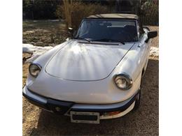 1986 Alfa Romeo Spider (CC-983880) for sale in Online Auction, No state