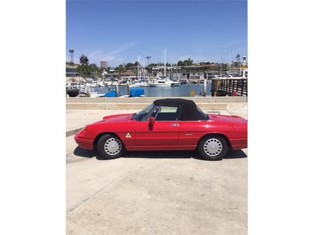 1991 Alfa Romeo  Spider (CC-984084) for sale in Newport Beach, California