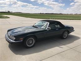 1991 Jaguar XJS (CC-984493) for sale in Rushville, Nebraska