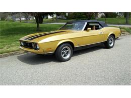 1973 Ford Mustang (CC-984962) for sale in Toms River, New Jersey