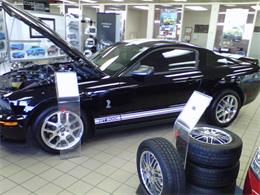 2009 Shelby Cobra GT500 (CC-985564) for sale in Collingwood, Ontario