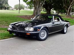 1990 Jaguar XJS (CC-986336) for sale in Delray Beach, Florida