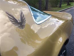 1978 Pontiac Firebird Trans Am (CC-986535) for sale in Birmingham, Alabama