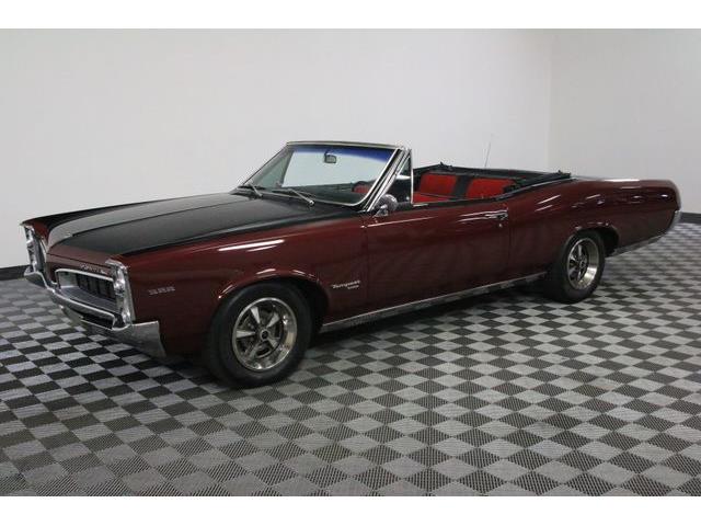 1967 Pontiac Tempest (CC-986650) for sale in Denver , Colorado