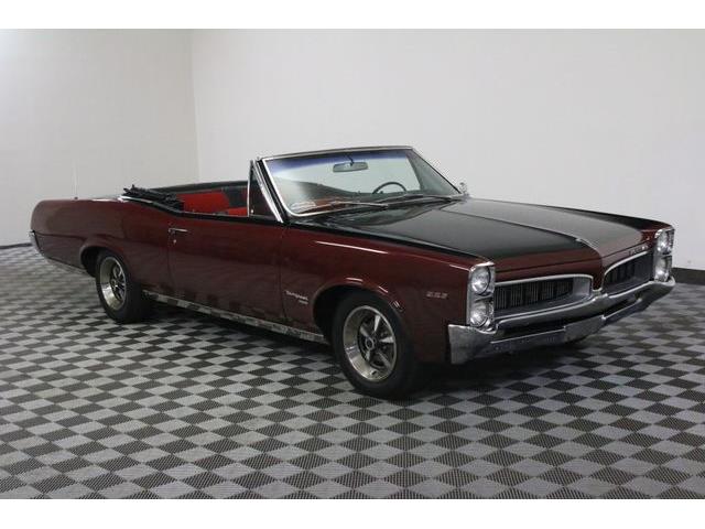 1967 Pontiac Tempest (CC-986650) for sale in Denver , Colorado
