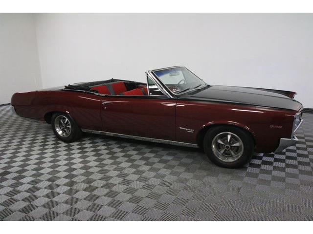 1967 Pontiac Tempest (CC-986650) for sale in Denver , Colorado