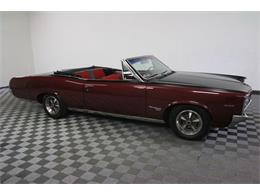 1967 Pontiac Tempest (CC-986650) for sale in Denver , Colorado