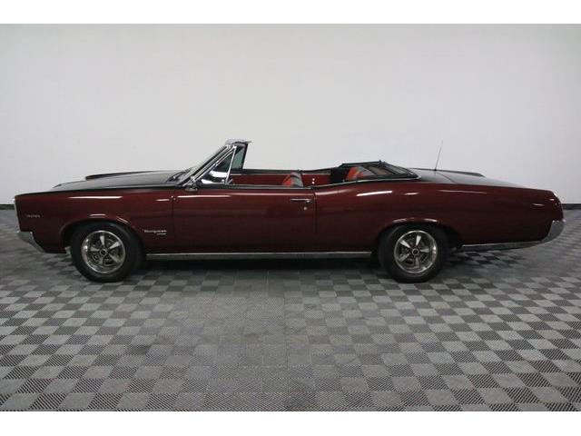 1967 Pontiac Tempest (CC-986650) for sale in Denver , Colorado