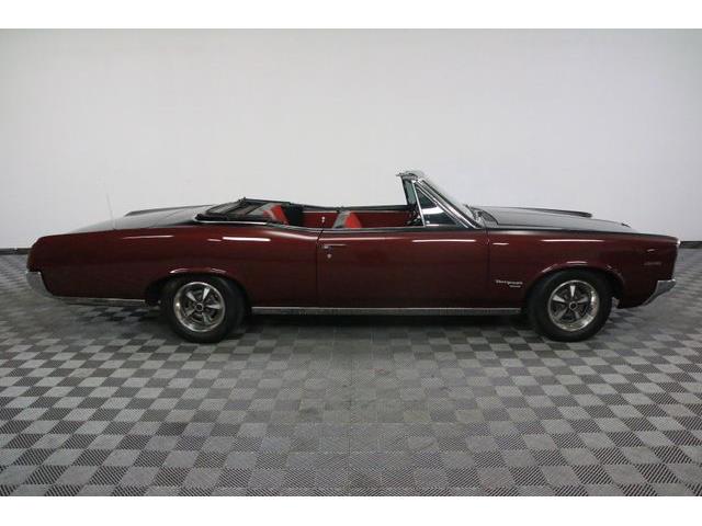 1967 Pontiac Tempest (CC-986650) for sale in Denver , Colorado
