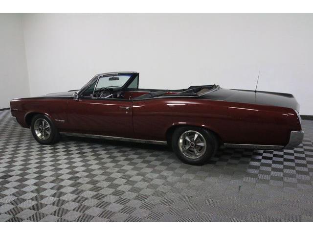 1967 Pontiac Tempest (CC-986650) for sale in Denver , Colorado