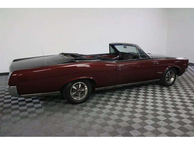 1967 Pontiac Tempest (CC-986650) for sale in Denver , Colorado