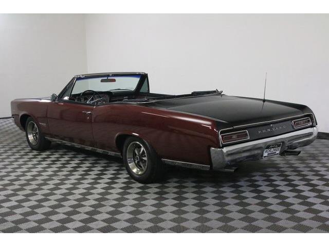 1967 Pontiac Tempest (CC-986650) for sale in Denver , Colorado