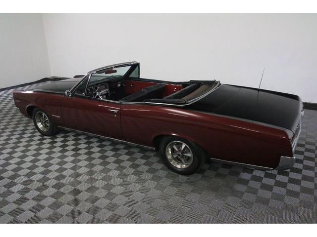 1967 Pontiac Tempest (CC-986650) for sale in Denver , Colorado