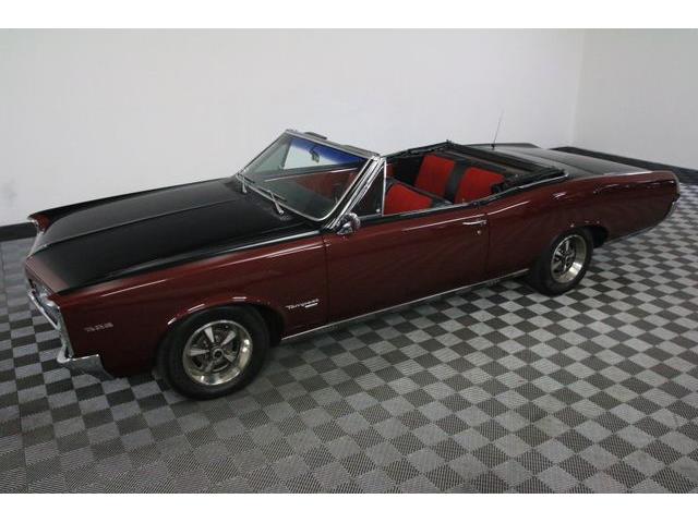 1967 Pontiac Tempest (CC-986650) for sale in Denver , Colorado