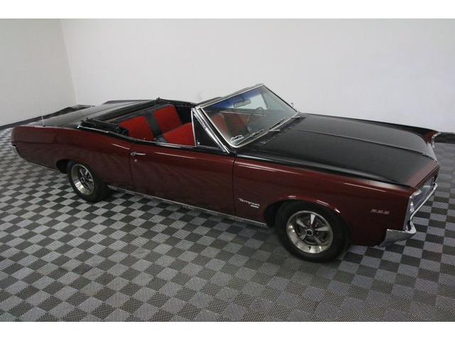 1967 Pontiac Tempest (CC-986650) for sale in Denver , Colorado