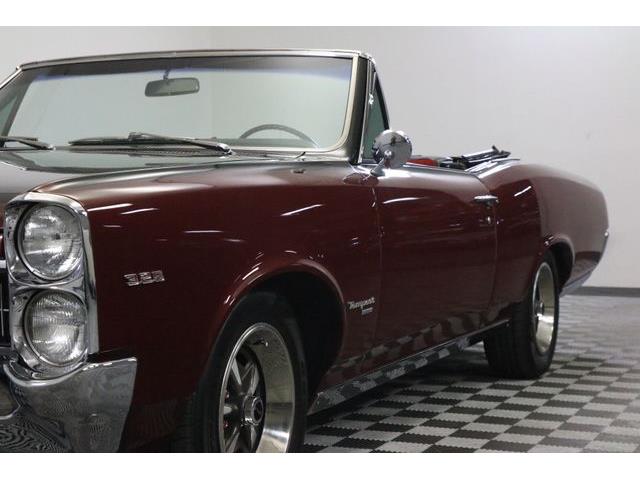 1967 Pontiac Tempest (CC-986650) for sale in Denver , Colorado