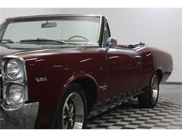 1967 Pontiac Tempest (CC-986650) for sale in Denver , Colorado