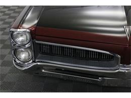 1967 Pontiac Tempest (CC-986650) for sale in Denver , Colorado