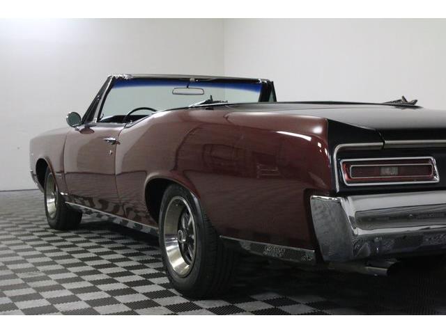 1967 Pontiac Tempest (CC-986650) for sale in Denver , Colorado