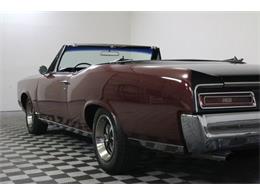 1967 Pontiac Tempest (CC-986650) for sale in Denver , Colorado