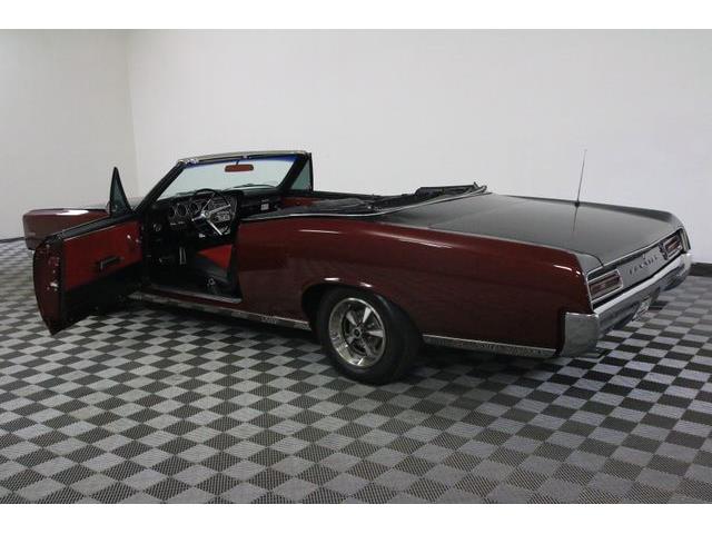 1967 Pontiac Tempest (CC-986650) for sale in Denver , Colorado