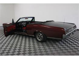 1967 Pontiac Tempest (CC-986650) for sale in Denver , Colorado