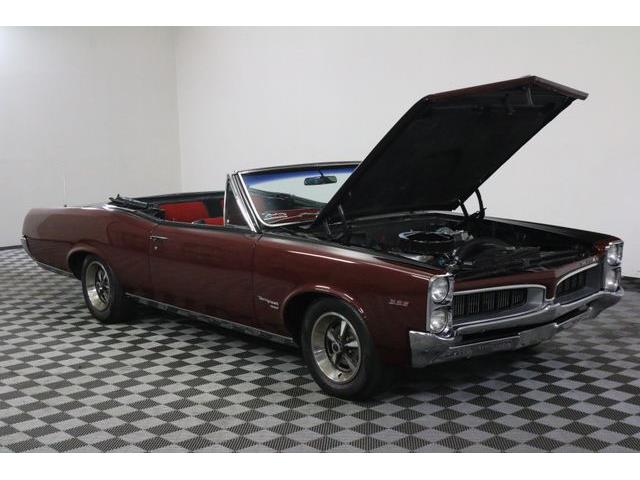 1967 Pontiac Tempest (CC-986650) for sale in Denver , Colorado