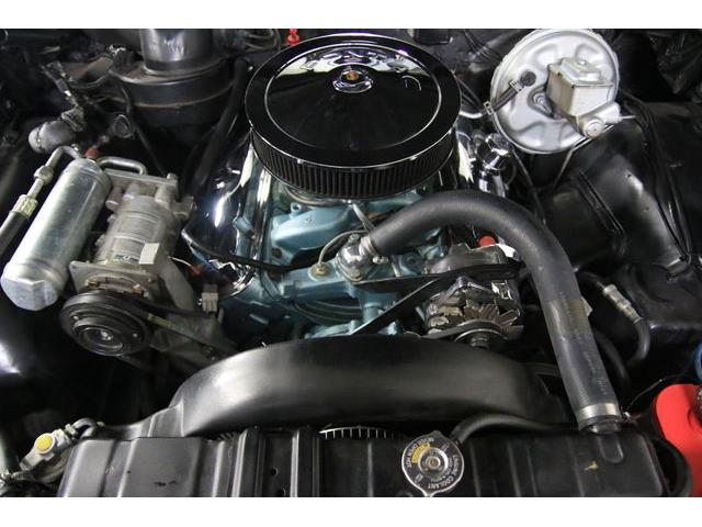 1967 Pontiac Tempest (CC-986650) for sale in Denver , Colorado