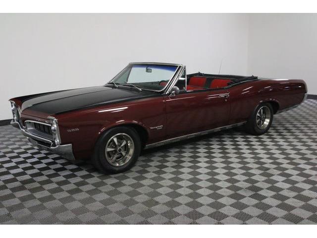 1967 Pontiac Tempest (CC-986650) for sale in Denver , Colorado