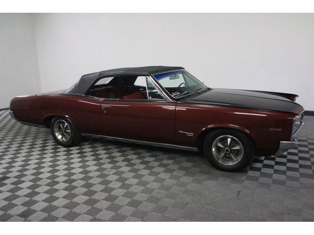 1967 Pontiac Tempest (CC-986650) for sale in Denver , Colorado