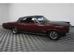 1967 Pontiac Tempest (CC-986650) for sale in Denver , Colorado