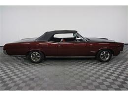 1967 Pontiac Tempest (CC-986650) for sale in Denver , Colorado