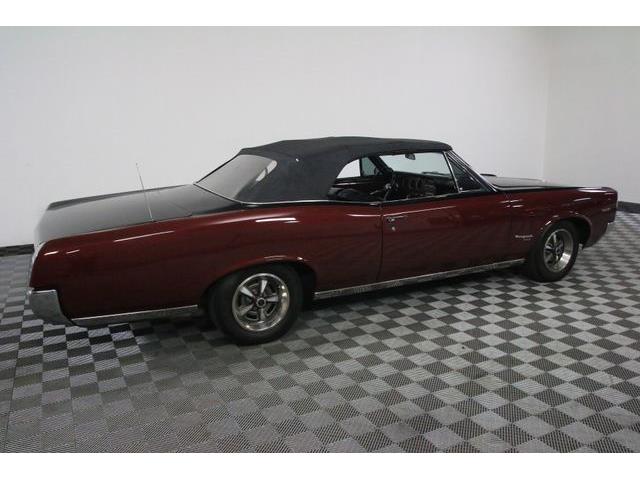 1967 Pontiac Tempest (CC-986650) for sale in Denver , Colorado