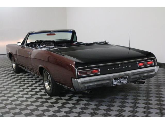 1967 Pontiac Tempest (CC-986650) for sale in Denver , Colorado