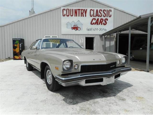 1974 Buick Century (CC-987532) for sale in Staunton, Illinois