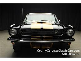 1966 Shelby GT350 (CC-987597) for sale in West Chester, Pennsylvania