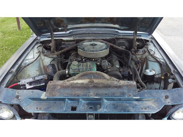 1964 Ford Thunderbird (CC-988281) for sale in Lewistown, Montana
