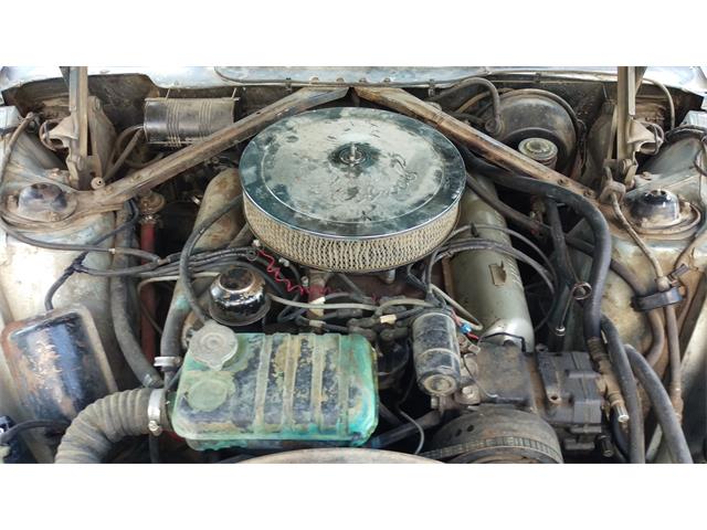 1964 Ford Thunderbird (CC-988281) for sale in Lewistown, Montana