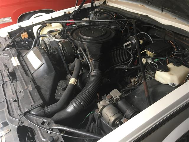1985 Cadillac Seville (CC-988457) for sale in Chicago, Illinois