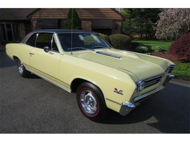 1967 Chevrolet Chevelle (CC-980915) for sale in Milford City, Connecticut