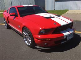 2007 Ford Mustang Shelby GT500 (CC-989237) for sale in Annandale, Minnesota