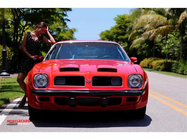 1974 Pontiac Formula Firebird 455 (CC-989343) for sale in Fort Myers, Florida