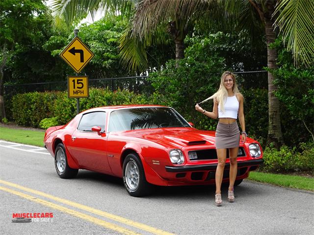 1974 Pontiac Formula Firebird 455 (CC-989343) for sale in Fort Myers, Florida