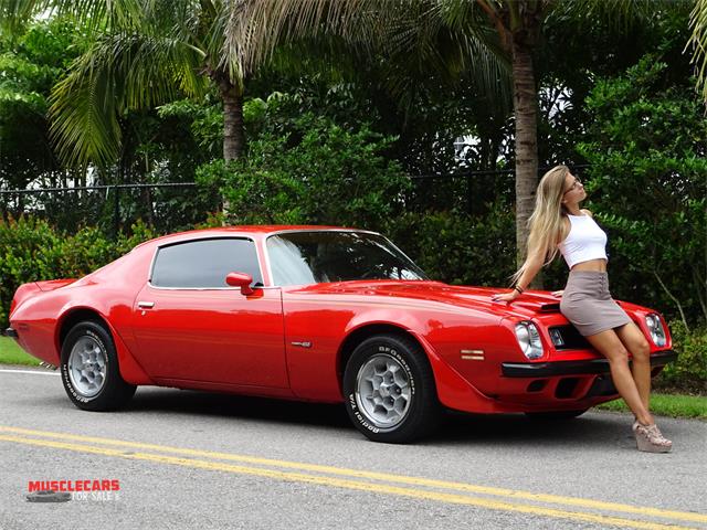 1974 Pontiac Formula Firebird 455 (CC-989343) for sale in Fort Myers, Florida
