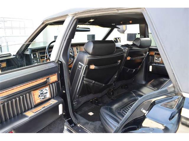 1983 Cadillac Seville (CC-989566) for sale in Orlando, Florida