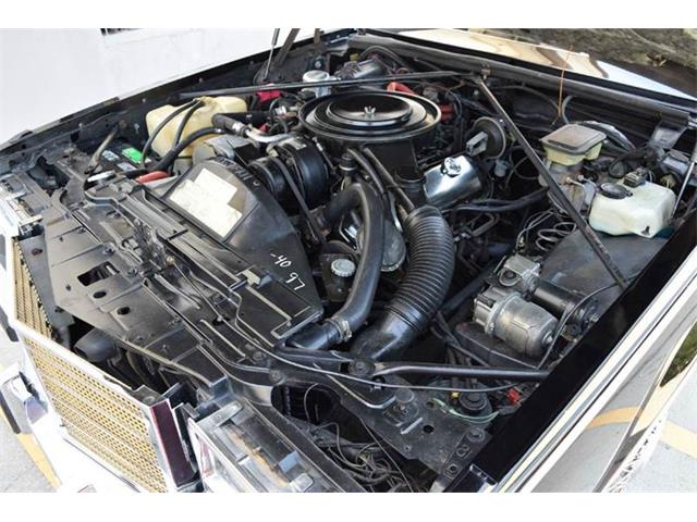 1983 Cadillac Seville (CC-989566) for sale in Orlando, Florida