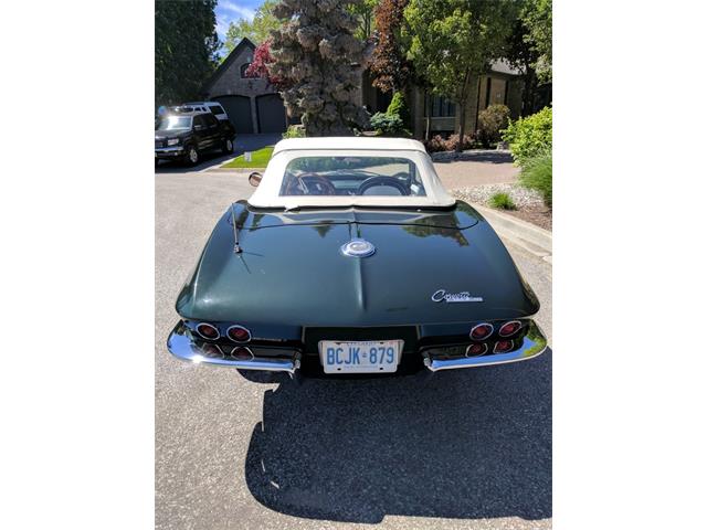 1965 Chevrolet Corvette (CC-989762) for sale in West Palm Beach, Florida